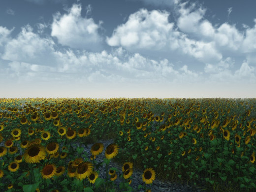 21827 (a): :1024x768